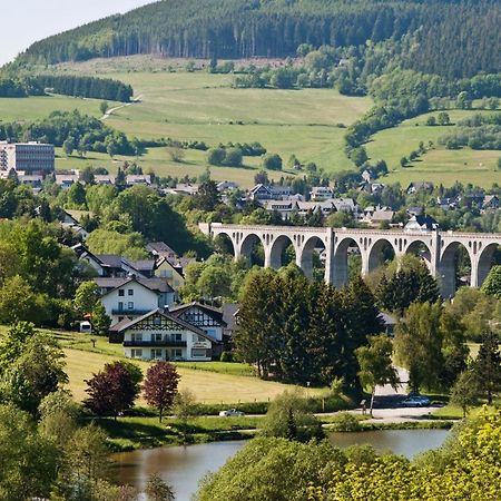 Die Hammerhuette Willingen  Buitenkant foto