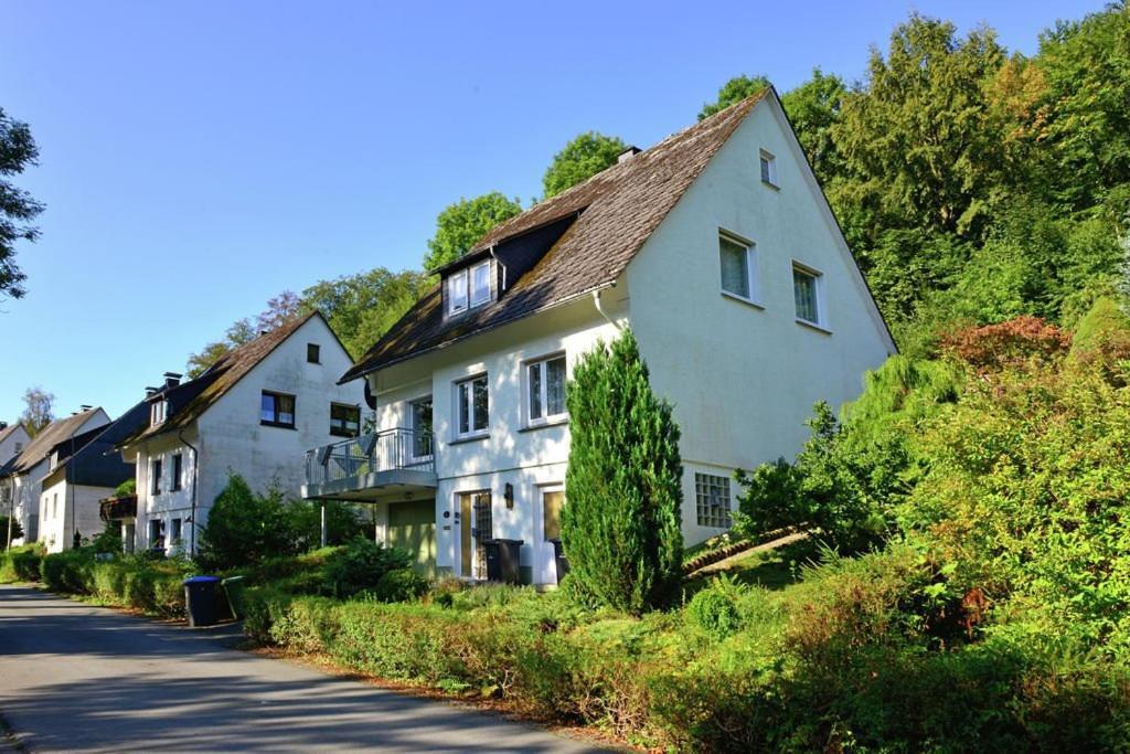 Die Hammerhuette Willingen  Buitenkant foto