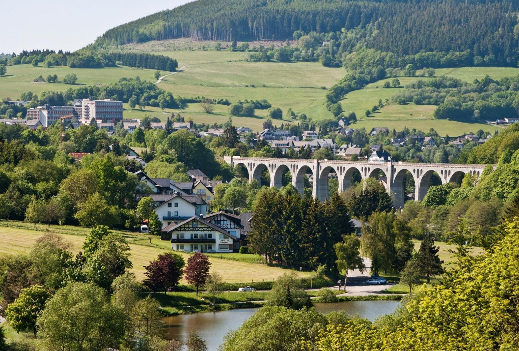 Die Hammerhuette Willingen  Buitenkant foto